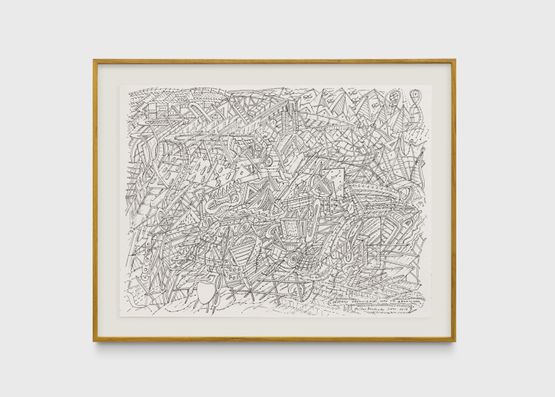 Desenho organizado como um organismo by Milton Machado contemporary artwork Drawing