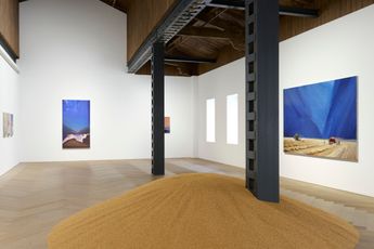 Contemporary art exhibition Christiane Pooley Trilla at Perrotin Shanghai China