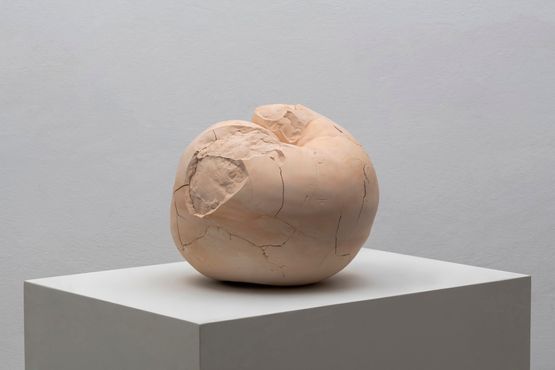 Seed 0 by Yasam Sasmazer contemporary artwork Sculpture