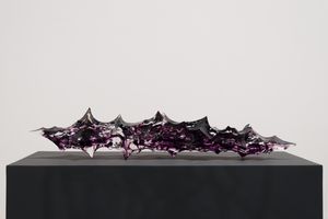 Chen Xiaoyun