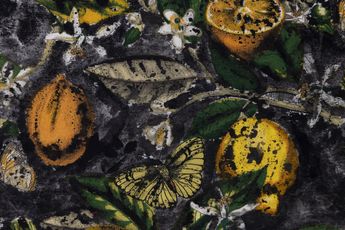 Neriman Polat contemporary artist