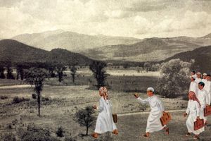 Maha Malluh