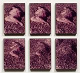 Leaves A Self Portrait by Nancy Youdelman contemporary artwork photography