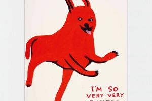 David Shrigley