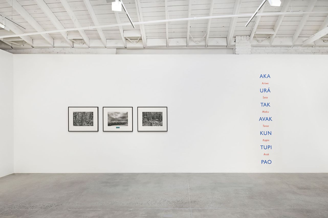 Lothar Baumgarten, James Coleman, An-My Lê, Oscar Tuazon