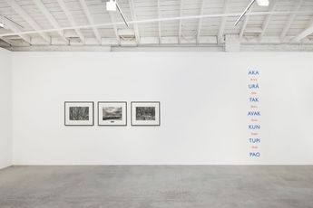 Contemporary art exhibition Lothar Baumgarten James Coleman An-My Le Oscar Tuazon Interconnected Landscapes at Marian Goodman Gallery Los Angeles United States