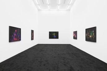 Contemporary art exhibition Christopher Udemezue Under the Palm Tree Leaves at Anat Ebgi Culver City United States