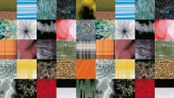 Nature Linear Way Responding to Mark Time Weathered Interruptions Highrise Food Coloring Because of Pressure by John Maeda contemporary artwork Moving Image
