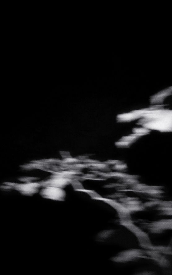 Nocturnal Assembly 12 by Anne Noble contemporary artwork Print
