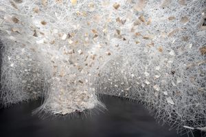 Chiharu Shiota