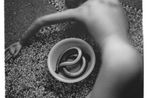 Francesca Woodman contemporary artist