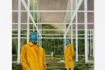 Damien Cifelli contemporary artist