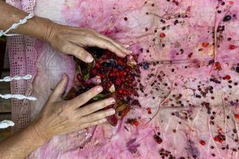 Annalee Davis contemporary artist