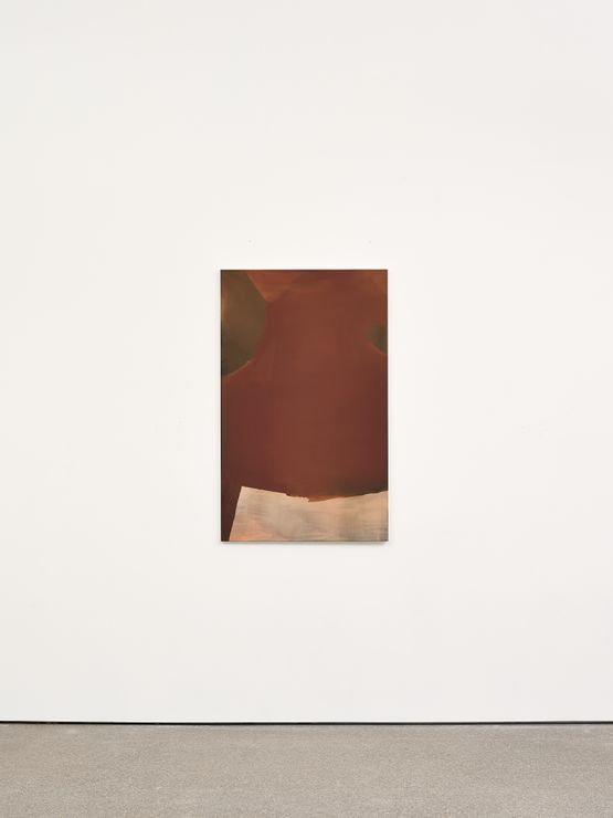 Untitled by Stef Driesen contemporary artwork Painting
