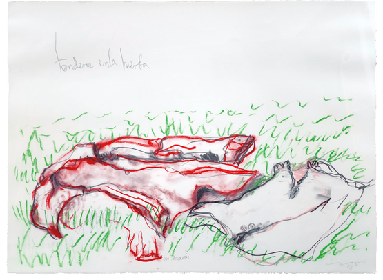 Tenderse en la hierba Serie La infiel CAP Ill El mito de la sirena by Magali Lara contemporary artwork Works on Paper