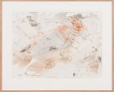 The hidden layer of insects and soil biota by John Wolseley contemporary artwork painting works on paper
