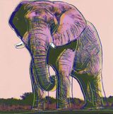 African Elephant Endangered Species Series FS II.293 by Andy Warhol contemporary artwork print