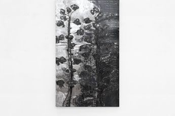Matisse Mesnil contemporary artist