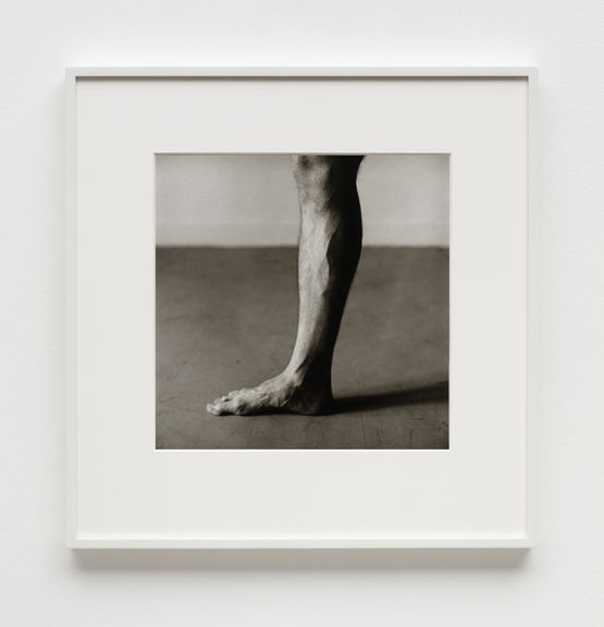 Paul Hudsons Leg by Peter Hujar contemporary artwork Painting