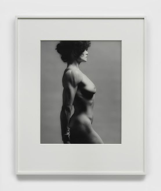 Lisa Lyon by Robert Mapplethorpe contemporary artwork Photography