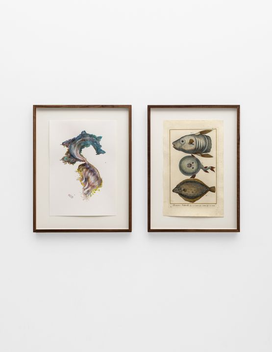 Untitled KoreaLe Turbot LOrbis La Mole by Anri Sala contemporary artwork Works on Paper
