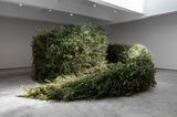 Thicket by Meg Webster contemporary artwork sculpture