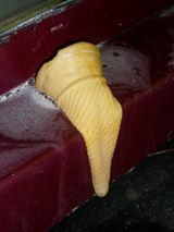 Icecream by Peter Peryer contemporary artwork photography