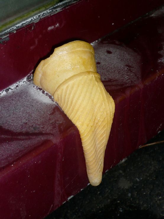 Icecream by Peter Peryer contemporary artwork Photography