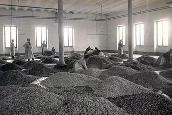 Contemporary art exhibition Dane Mitchell An Unbroken Surface at Gertrude Contemporary Melbourne Australia