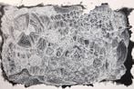 Betty Muffler contemporary artist
