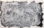 Ngangkari Ngura Healing Country by Betty Muffler contemporary artwork Painting