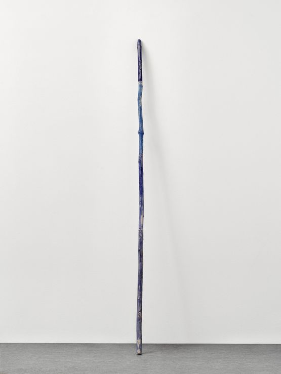 Bastung blueblueblueblue by Mirko Baselgia contemporary artwork Installation
