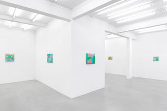 Contemporary art exhibition Federico Herrero Caimitos at Sies  Hoke Dusseldorf Germany