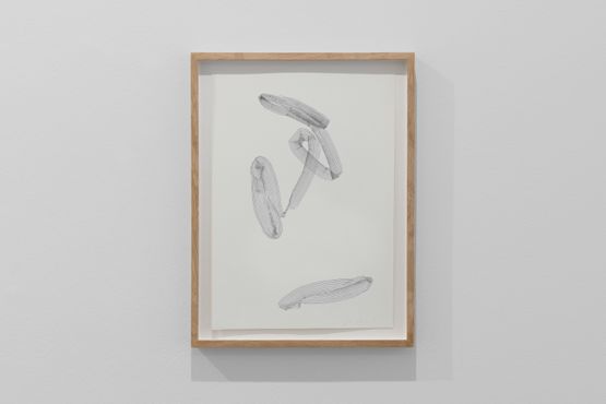 Eddy 6 by Jill Baroff contemporary artwork Works on Paper