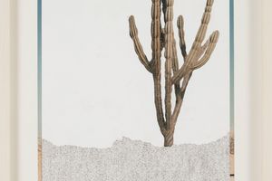 Johanna Calle