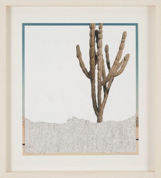 Guajira by Johanna Calle contemporary artwork Photography