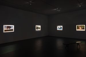 David Claerbout
