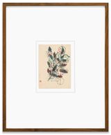 30.XI.21 b 1 by Gabriel Orozco contemporary artwork works on paper