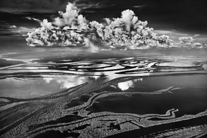 Sebastiao Salgado