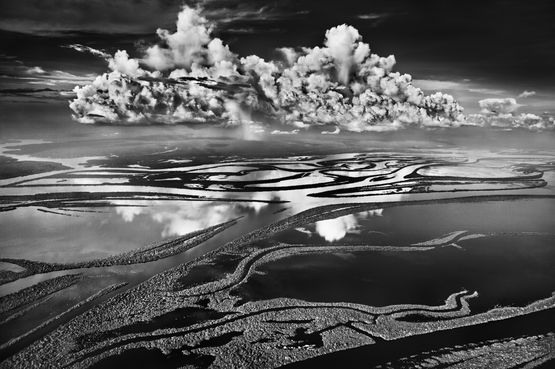 Rio Negro Anavilhanas National Park state of Amazonas Brazil by Sebastiao Salgado contemporary artwork Photography