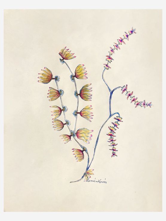 Untitled by Anna Zemankova contemporary artwork Textile