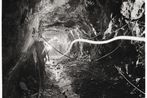 David Zink Yi contemporary artist