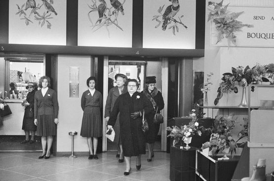 In a department store probably John Orrs on VonBrandis Street. June 1965 by David Goldblatt contemporary artwork Photography