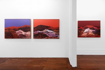 Contemporary art exhibition George Cooley Visions of Country at Cassandra Bird Sydney Australia