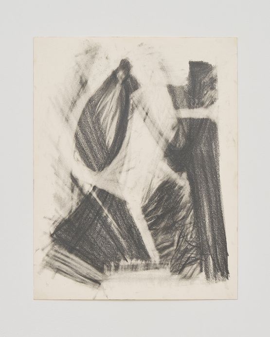 fig  bush  quarry by Ryu Takeda contemporary artwork Works on Paper