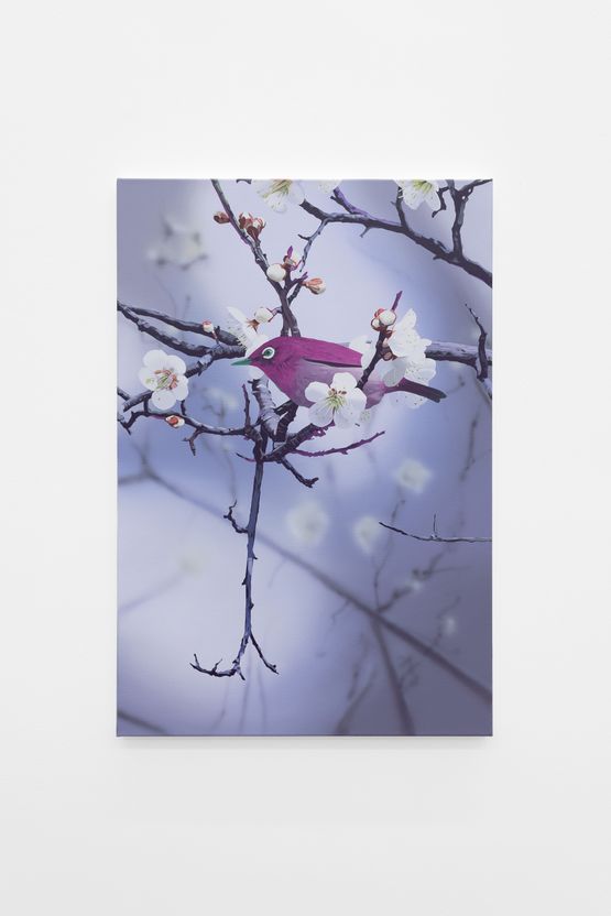 Out of Stock by Alex Dordoy contemporary artwork Painting