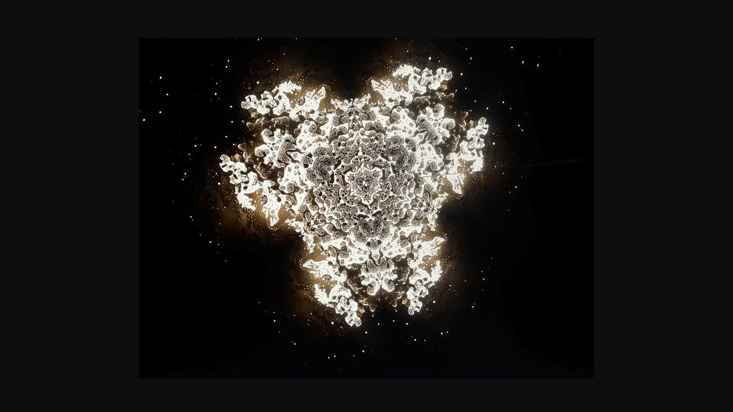Olafur Eliasson