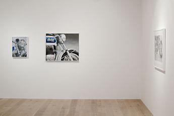 Contemporary art exhibition Martin Ball Still at Gow Langsford Gallery Auckland City New Zealand