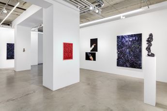 Assja Schafer contemporary artist