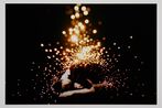 Lieko Shiga contemporary artist